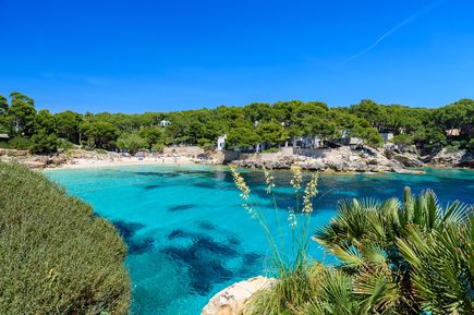 Badebucht Cala Ratjada auf Mallorca mit klarem Wasser, Felsen und grünen Pinien rund um den Strand