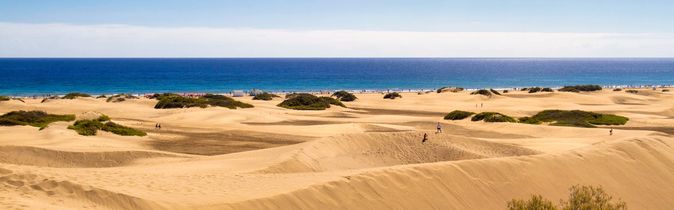 Sanddünenlandschaft mit vereinzeltem Buschwerk unter blauem Himmel am Meer