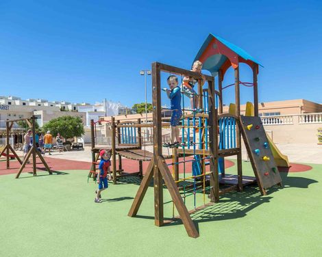 Comitas Isla del Aire