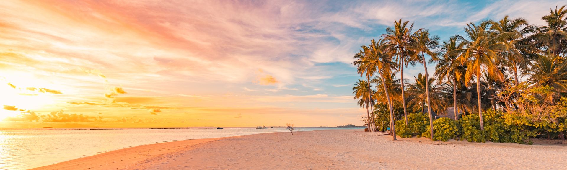 Strand mit feinem Sand und Palmen am rechten Rand, ruhiges Meer und Sonnenuntergang mit orangefarbenem Himmel in der Karibik.