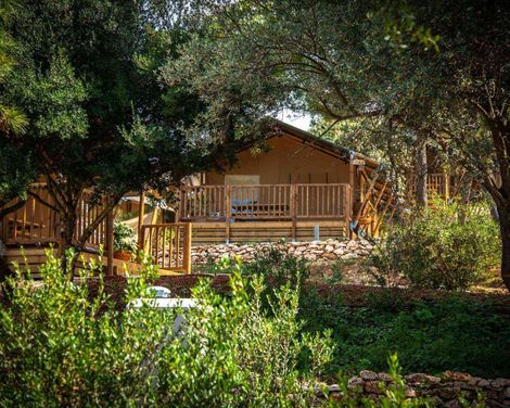 Arena One 99 Glamping