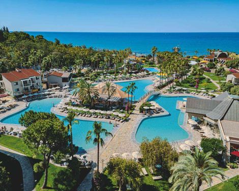 Arum Barut Collection