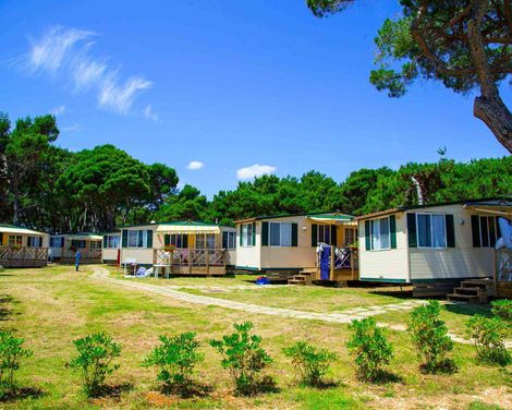 Arena Indije Campsite