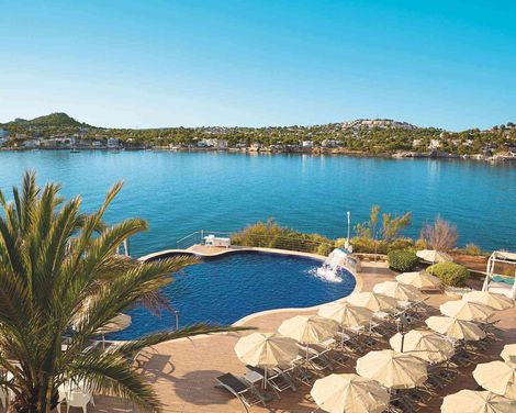 Sentido Fido Punta del Mar