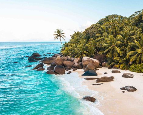 NIVA Labriz Seychelles