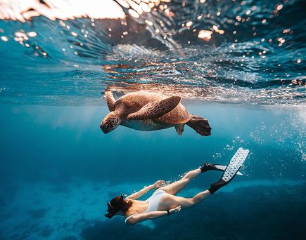 Taucherin mit Schnorchel und Flossen schwimmt unter Wasser neben einer Meeresschildkröte.