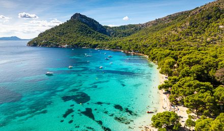 Strand Playa de Formentor auf Mallorca mit kristallklarem Wasser, dichtem Pinienwald und Segelbooten in der Bucht