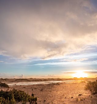 Sonnenuntergang über der Dünenlandschaft des Corralejo Nationalparks auf Fuerteventura mit bewölktem Himmel und Vegetation im Vordergrund.