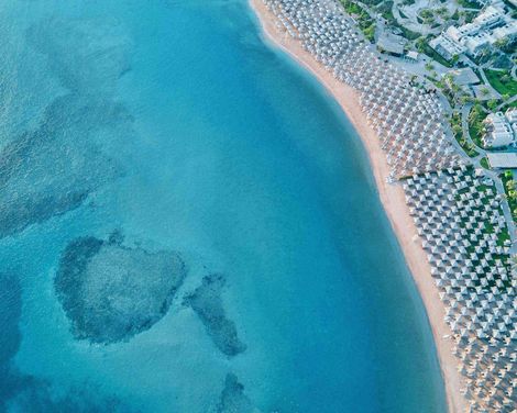 JAZ Neo Saraya Palms