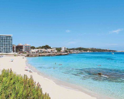 Son Moll Sentits Hotel & Spa