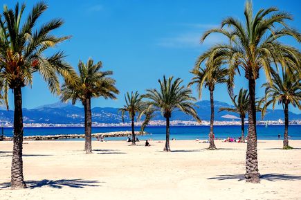 Strand El Arenal an der Playa de Palma mit Palmen, feinem Sand und Blick auf die Bucht von Palma