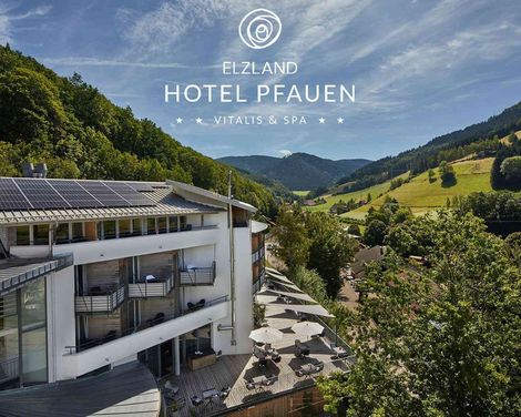 ElzLand Hotel Pfauen