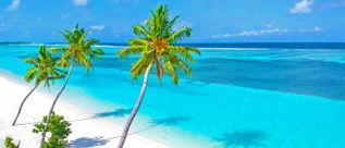 Weißer Sandstrand mit Palmen und türkisfarbenem Meer in der Dominikanischen Republik unter blauem Himmel