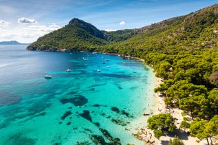 Blick auf den Strand Playa Formentor in Mallorca mit klarem, türkisfarbenem Wasser, umgeben von Bäumen und Hügeln. Mehrere Boote sind im Wasser