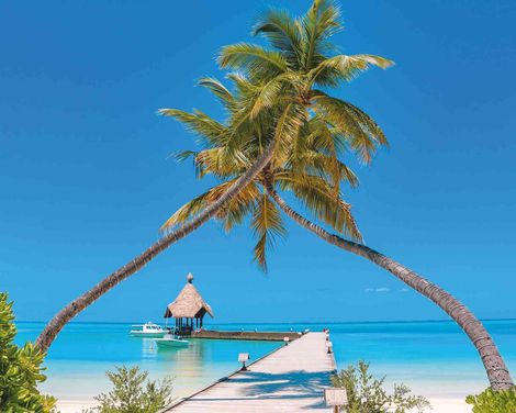 Canareef Resort Maldives