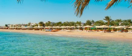 Klares Meerwasser vor einem Sandstrand von Safaga mit Sonnenschirmen, Liegen und Palmen unter blauem Himmel