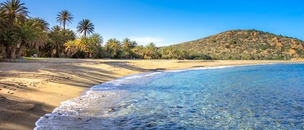 Strandabschnitt vom Vai Beach auf Kreta