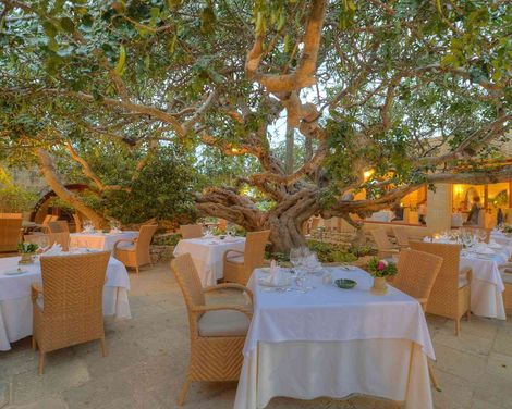 Hotel Ta' Cenc & Spa
