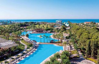 Lara Barut Collection