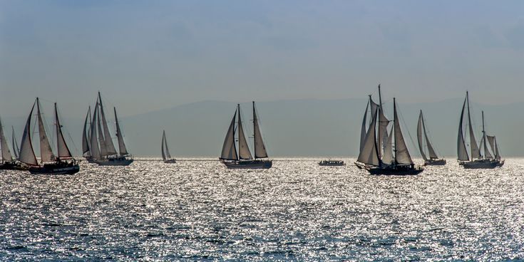 Mehrere Segelboote gleiten bei ruhiger See im Sonnenlicht über das glitzernde Wasser vor einer bergigen Küstenlinie