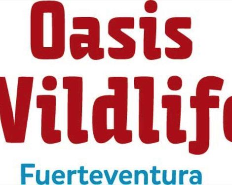 Oasis Wildlife Fuerteventura R2 Pajara Beach