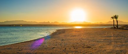 Sonnenuntergang über einer Küstenlandschaft mit Sandstrand in Hurghada, Meer und zwei Palmen am rechten Rand