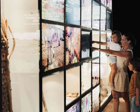 Barcelo Tenerife Royal Level