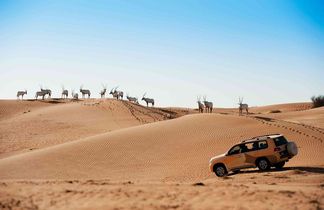 Al Maha, a Luxury Collection Desert Resort & Spa