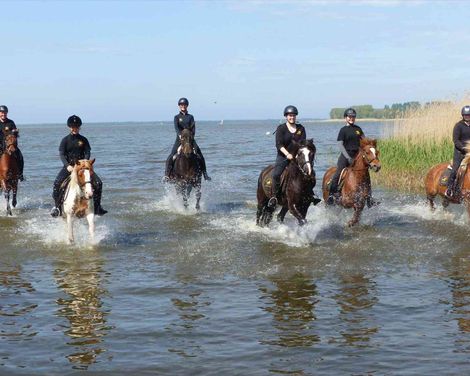 Vineta Hotel Stadt Barth