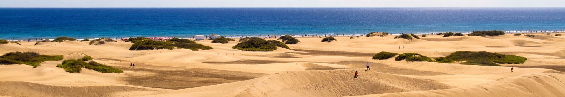 Weite Sanddünenlandschaft mit vereinzelten Palmen und Blick auf das blaue Meer am Horizont.