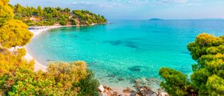 Blick auf eine geschwungene Bucht mit klarem türkisfarbenem Wasser, umgeben von grünen Bäumen und felsigem Ufer