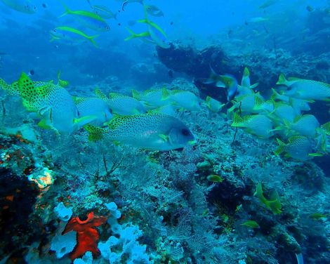 Temple Point Watamu