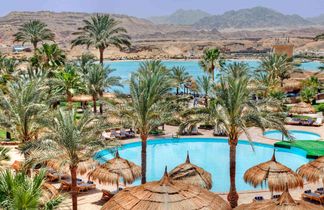 Albatros Sharm Resort