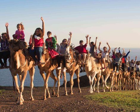Oasis Wildlife Fuerteventura R2 Pajara Beach