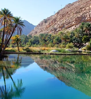 Oase mit Palmen und klarem Wasser vor felsigen Bergen im Oman